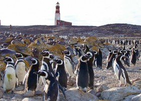 Parque Isla Pingüino