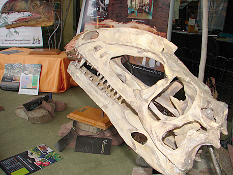 Turismo expone replicas del dinosaurio Zupaysaurus del Museo Carmen Funes
