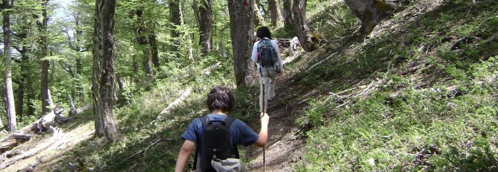 Recomendaciones para quienes hacen caminatas en bosques y cerros