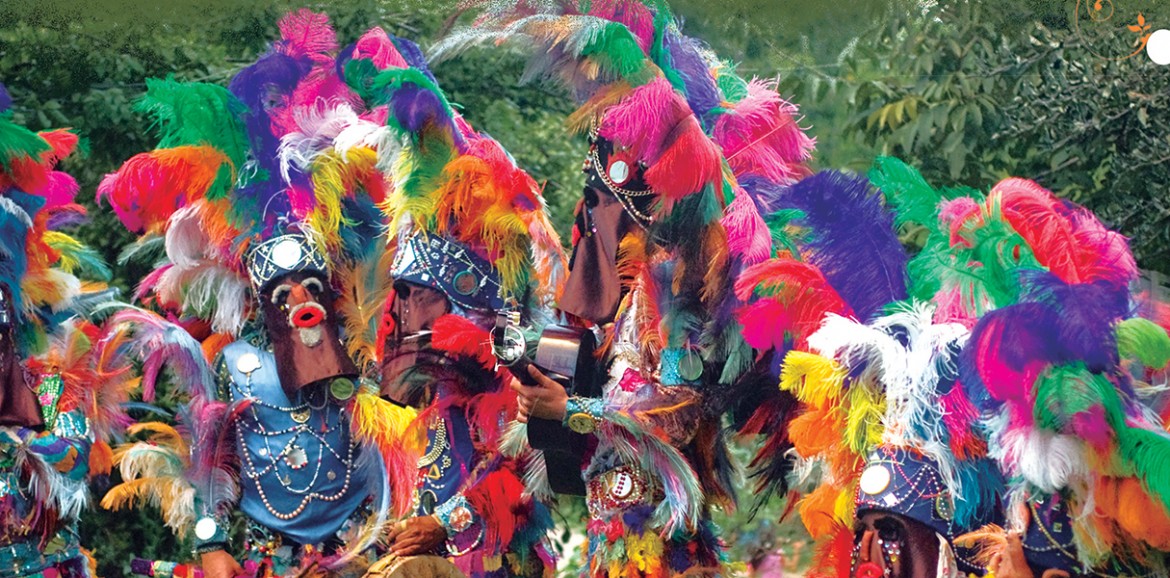 Carnaval Federal de la Alegria 2014