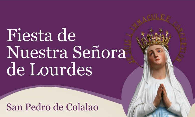 Fiesta de Nuestra Señora de Lourdes 2014