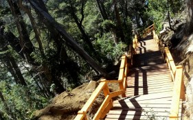 Reparacion de sendas en Quetrihué Parque Nacional Arrayanes