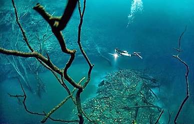 Cenote Angelita: luego de sumergirse cerca de 18 metros de profundidad es posible ver un “rio’ de agua salada que se diferencia del agua dulce.
