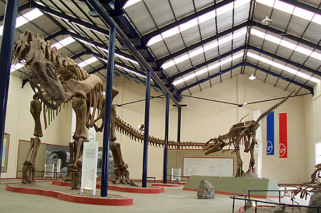 Patagonia promociona en Italia el turismo paleontológico
