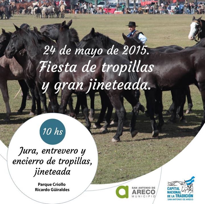 Gran Fiesta de Tropillas Entabladas y Jineteada, este 24 de mayo en Areco
