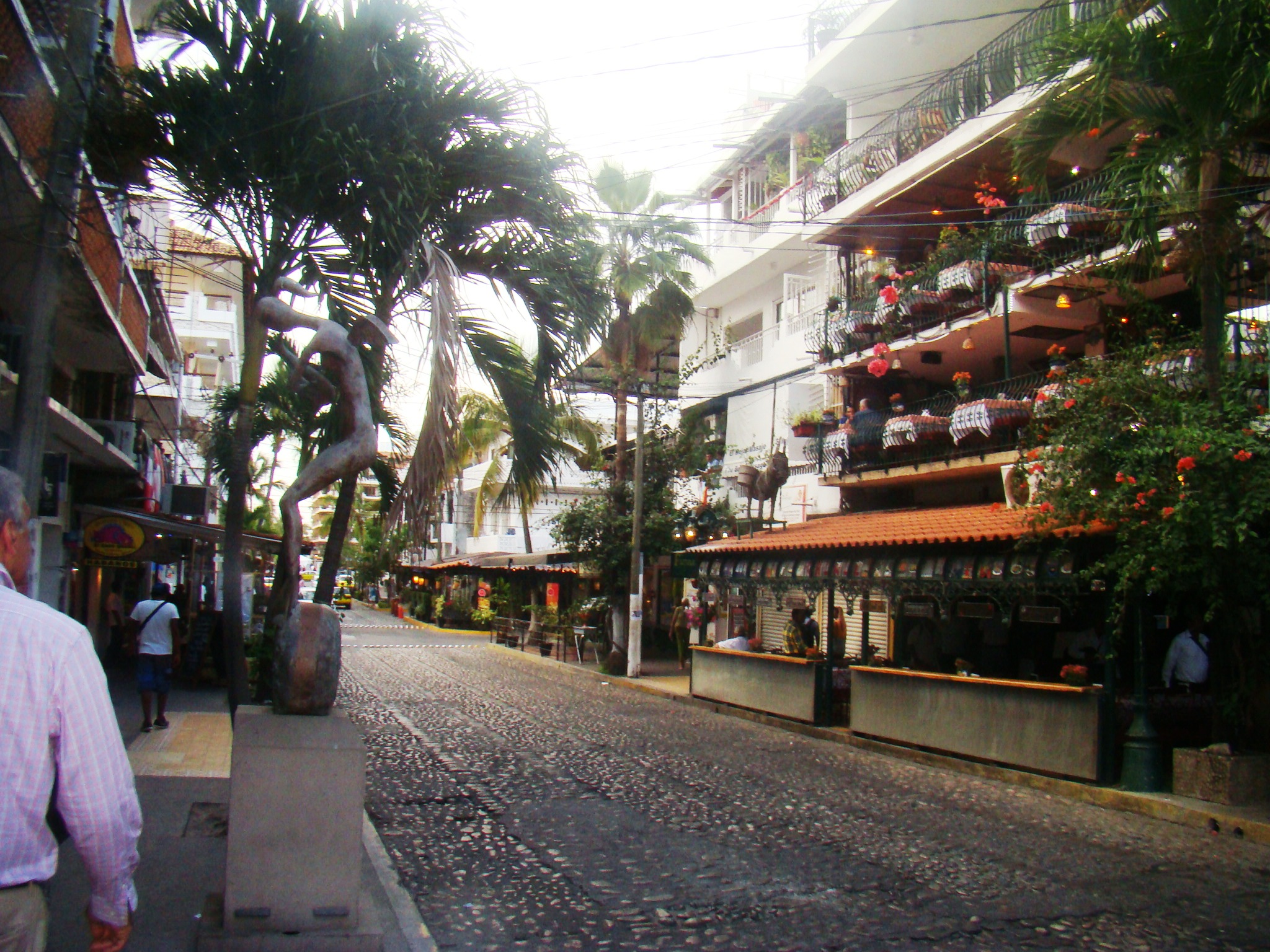 Puerto Vallarta -Centro - Hoteles tradicionales (3)