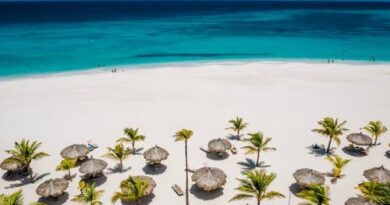 Aruba: ahora podés explorar la belleza de la isla feliz sin salir de casa