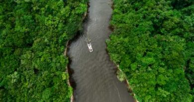 Grupo Iberostar presenta el Grand Amazon Expedition, una experiencia única e inolvidable en la Amazonia