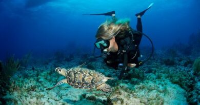 Buceo y Patrimonio, una mezcla que promete inmersiones inolvidables en Las Islas Caimán